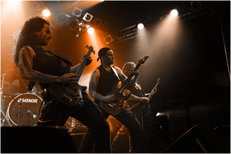 Cryptic Forest Live Cryptic Forest Live